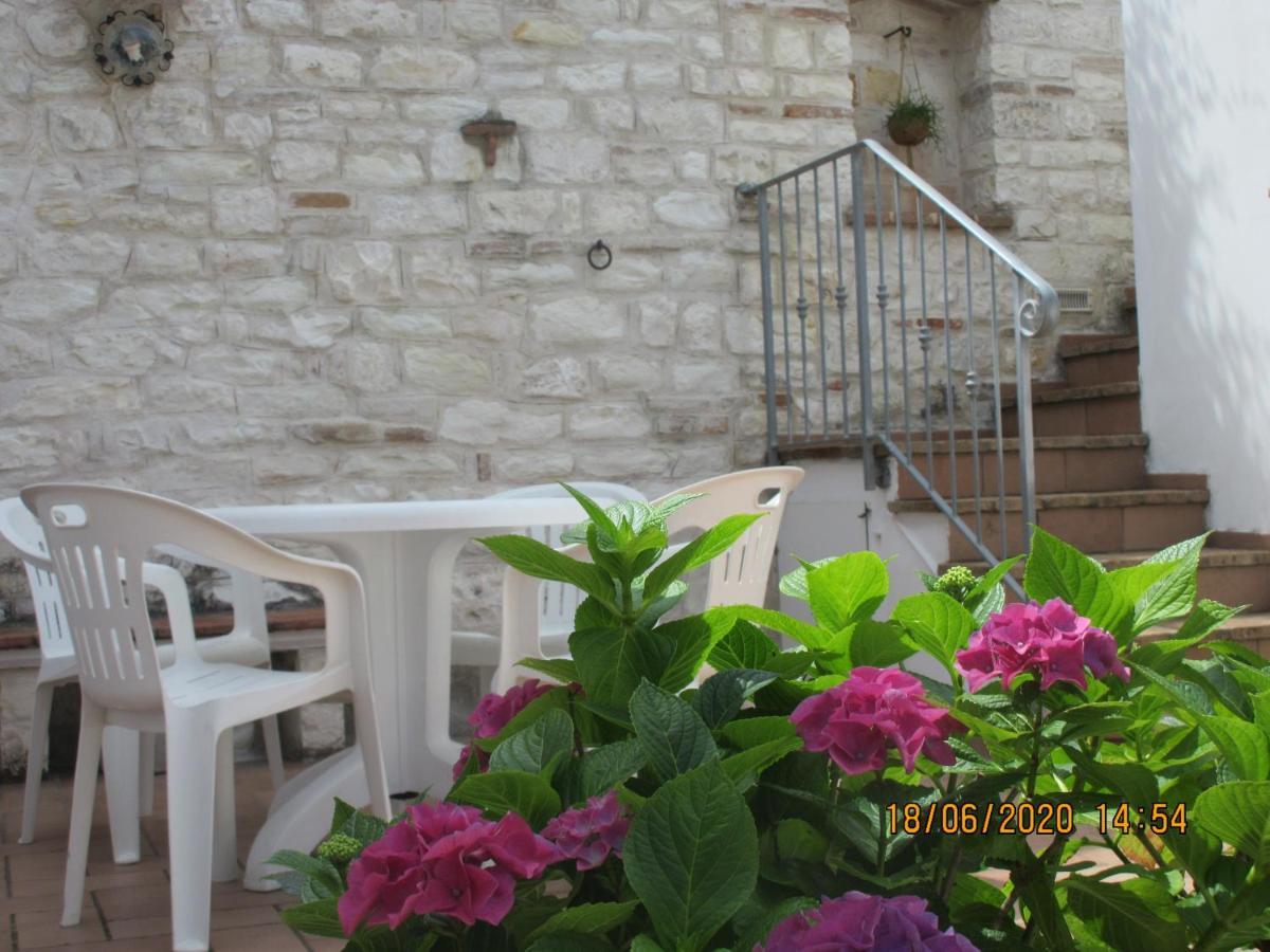 B&B Capo Le Vigne Sirolo Exterior photo